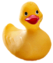 Rubber Ducky - large